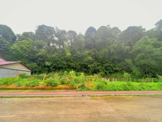 Jinggangshan Ciping Jinhonghua Homestay