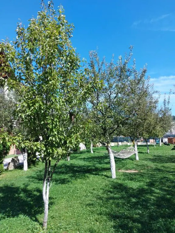 Pensiunea La Mogan