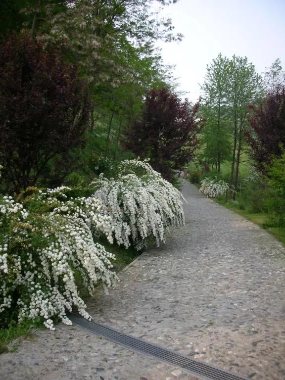 Cascina Nel Bosco