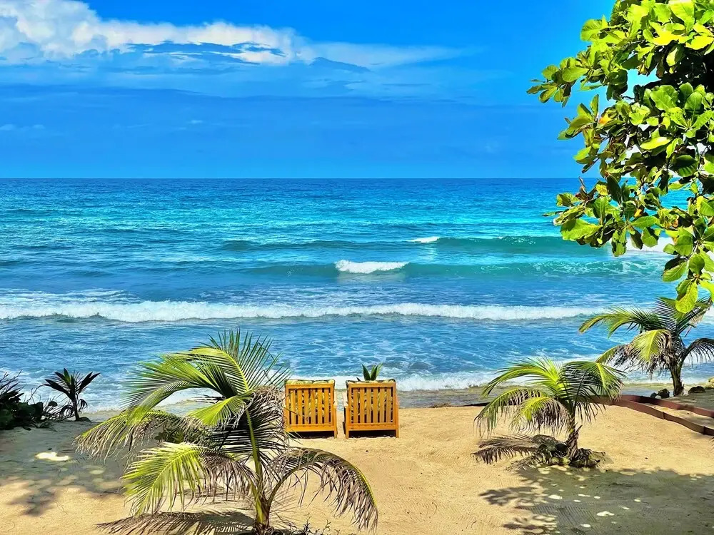 Turtle Beach Sanctuary Utila