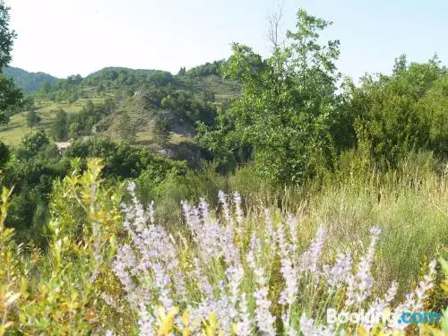 Camping Domaine du Verdon
