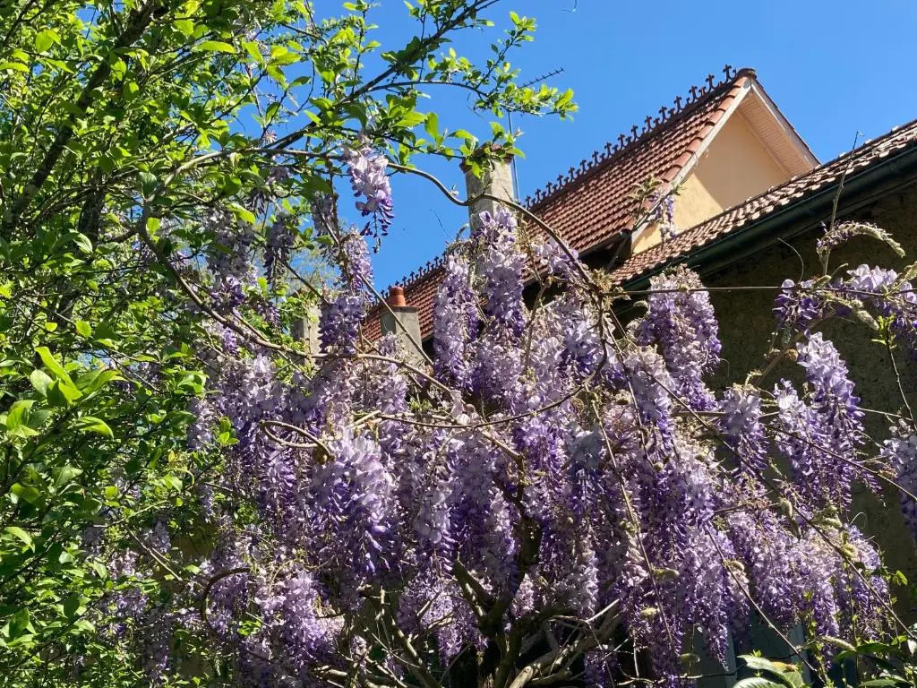 Domaine la jam
