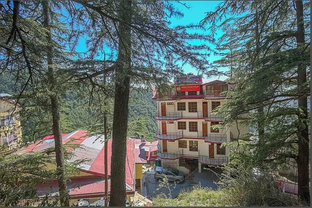 Hotel Avon Villa