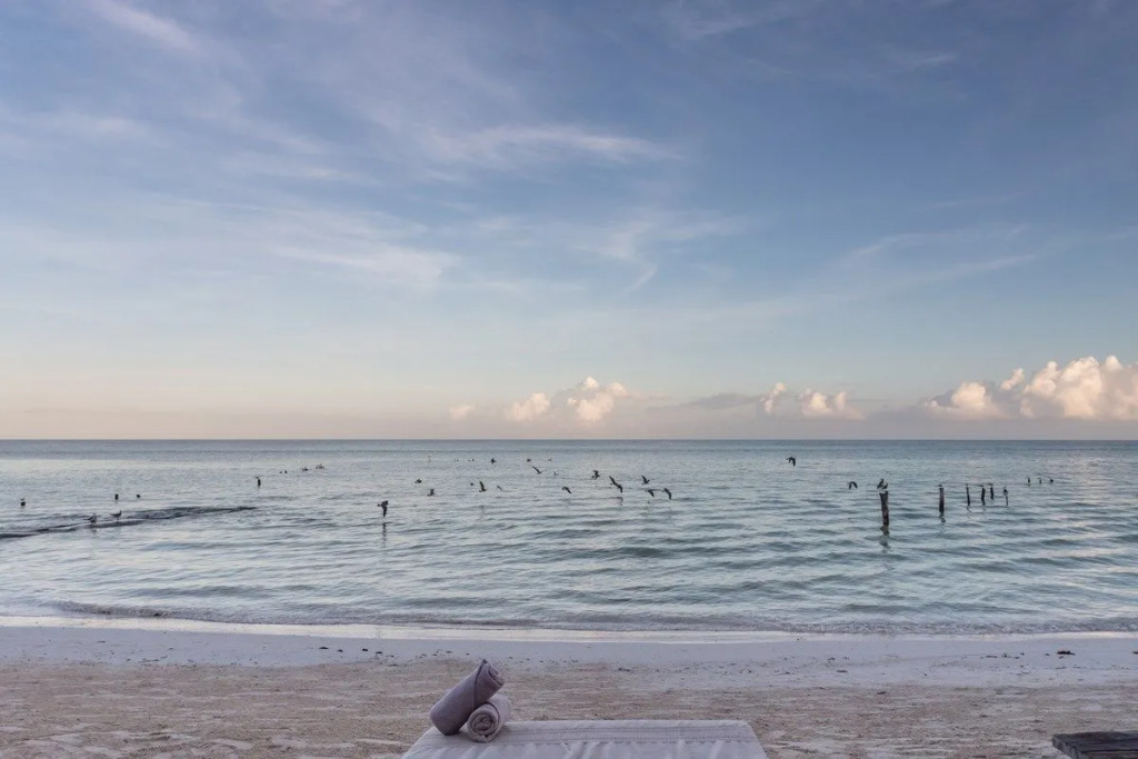 Nomade Holbox