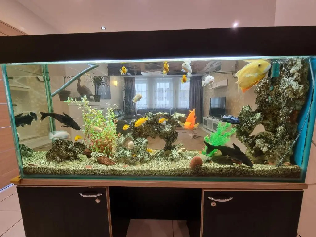 Apartamentai prie Botanikos sodo