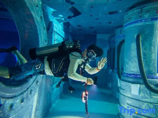 bluestay · Dive Hotel