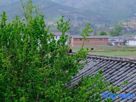 Shaxi and Mingleshe Homestay