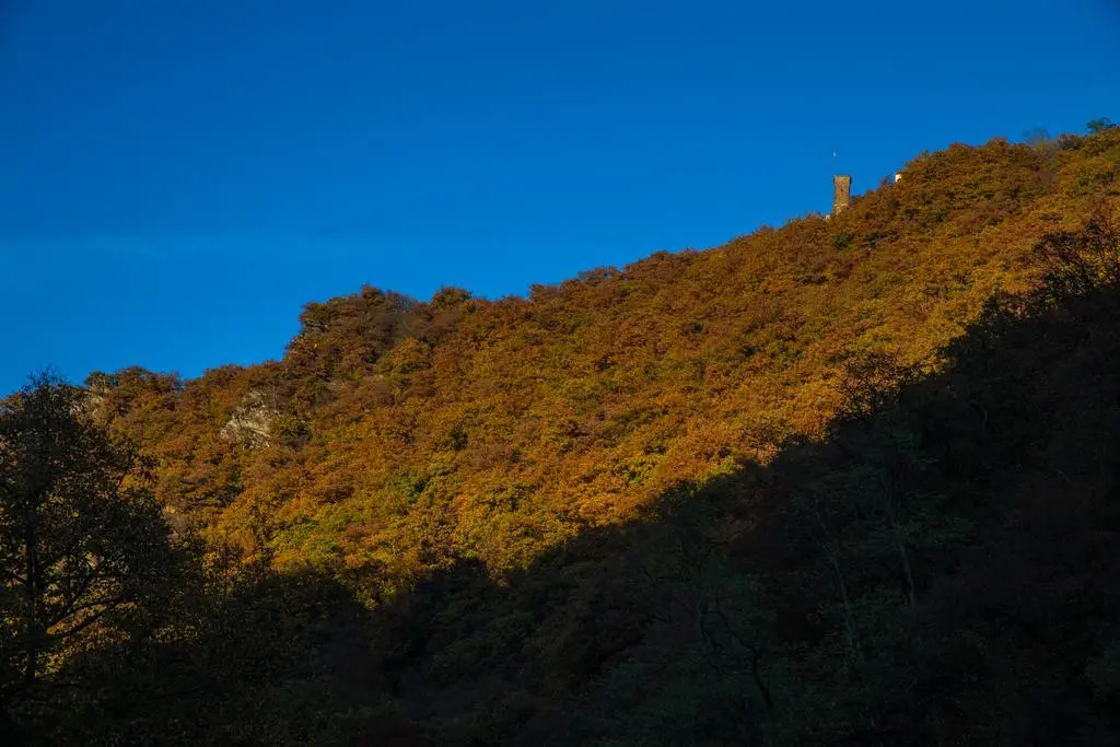 Palatium Bad Ems