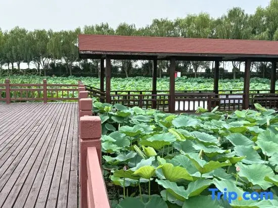 Linhuxiaoyuan Courtyard