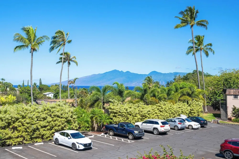 Walk to Napili Bay Beach! Mtn-view Lahaina Condo