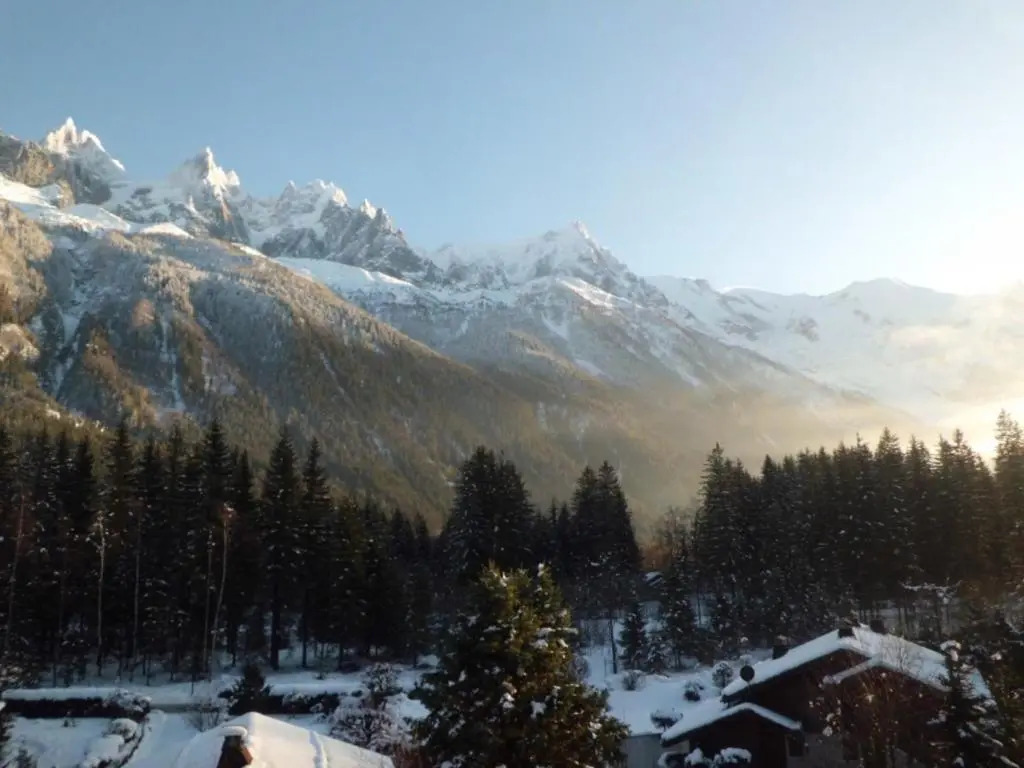 Appartement Chamonix-Mont-Blanc, 1 pièce, 3 personnes - FR-1-517-35