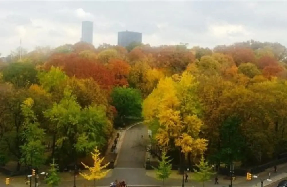 Central Park View Apartment