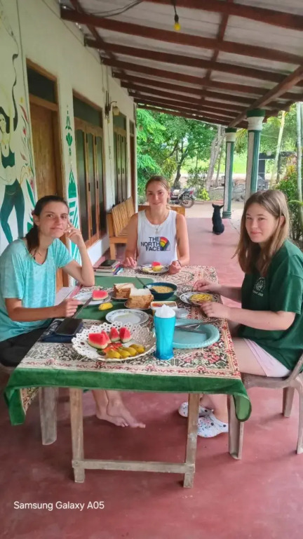 The Rock View Homestay Sigiriya