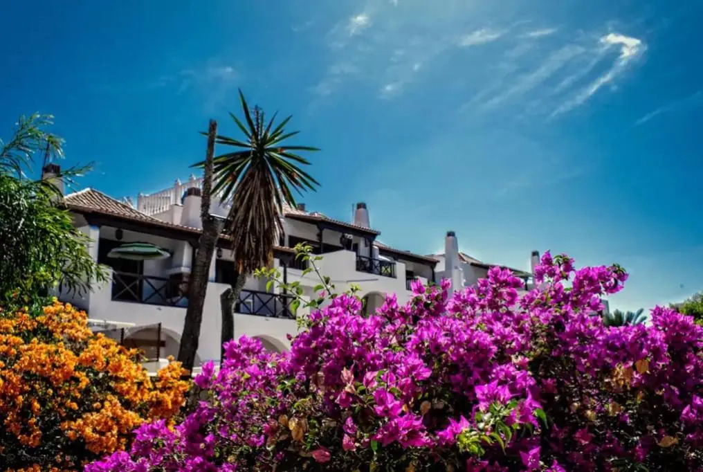 Tenerife House Playa de las Américas