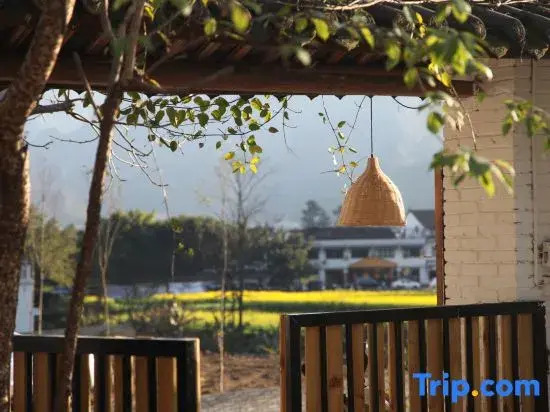 Xingyi Huazhidao Courtyard