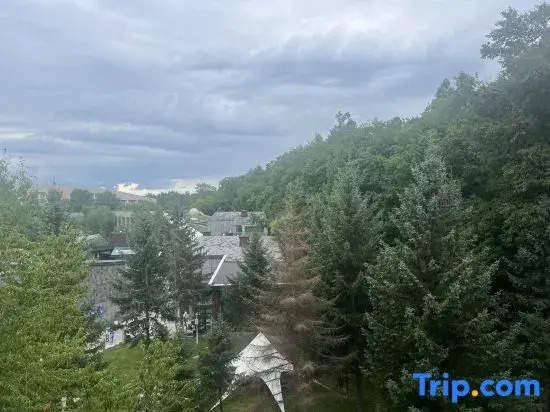 Songjian Xiaoyin Homestay (Changbai Mountain North Scenic Area Distribution Center)