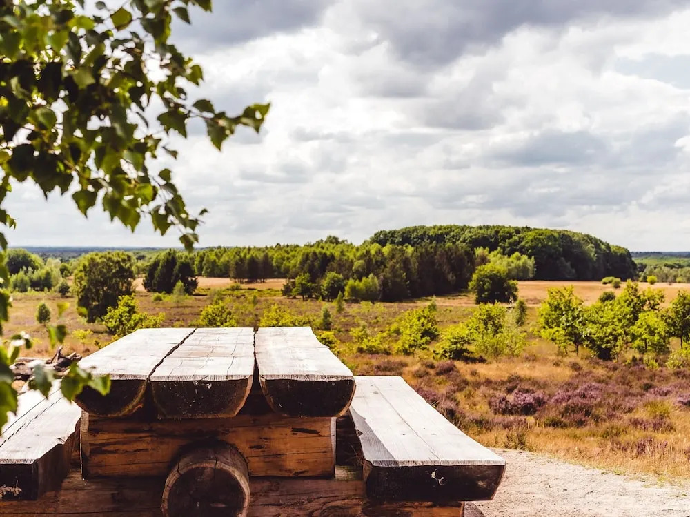 Tidy Furnished Chalet With a Combi Microwave, in the Veluwe