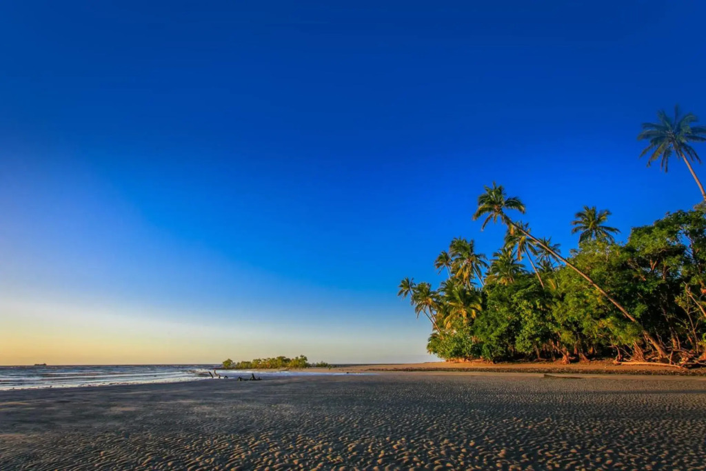 Alkira Award Winning Luxury Beachfront Rainforest Holiday House
