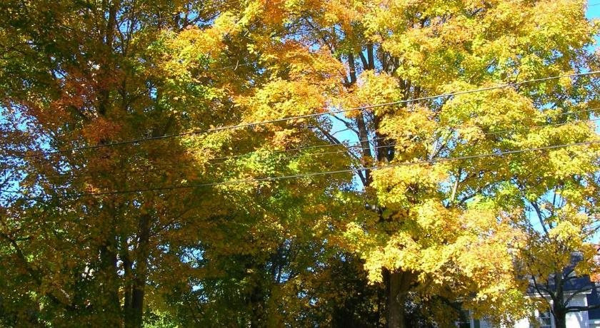 White Cedar Inn Bed and Breakfast