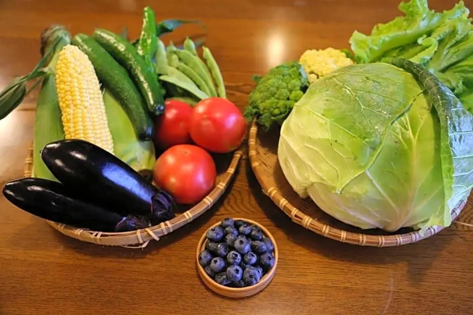Resort Inn Green Karuizawa - Vacation STAY 15121v