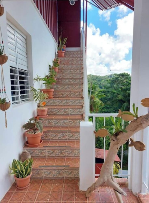 Great Palm View - Apartment 3 in Villa Coconut