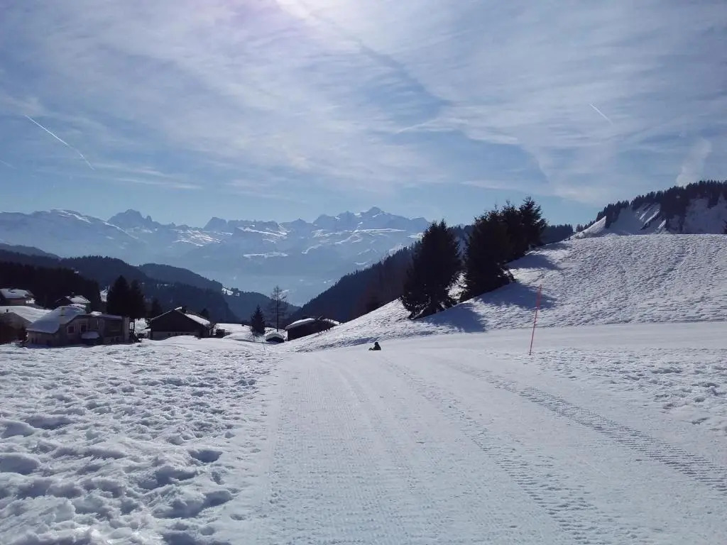 Terrasses Du Mont Blanc