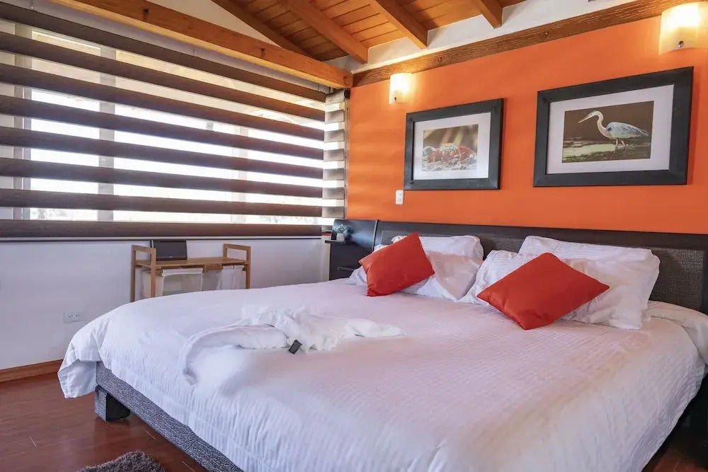 Condor Antisana Lodge