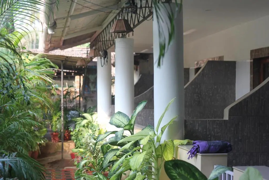 Alba Rooms Palolem Rosebuds