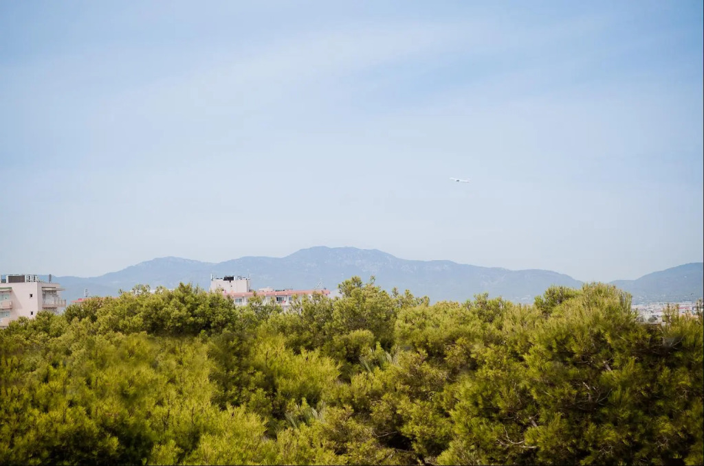 Hotel Vibra Palma Cactus