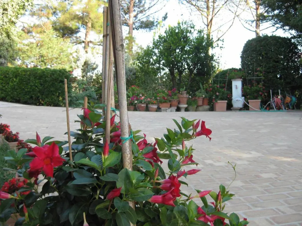 Casa dei Pini Country House
