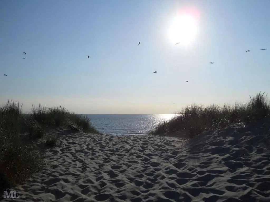 Zonneweelde