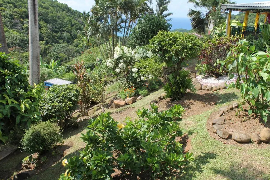 Paradise Lodge karibbean