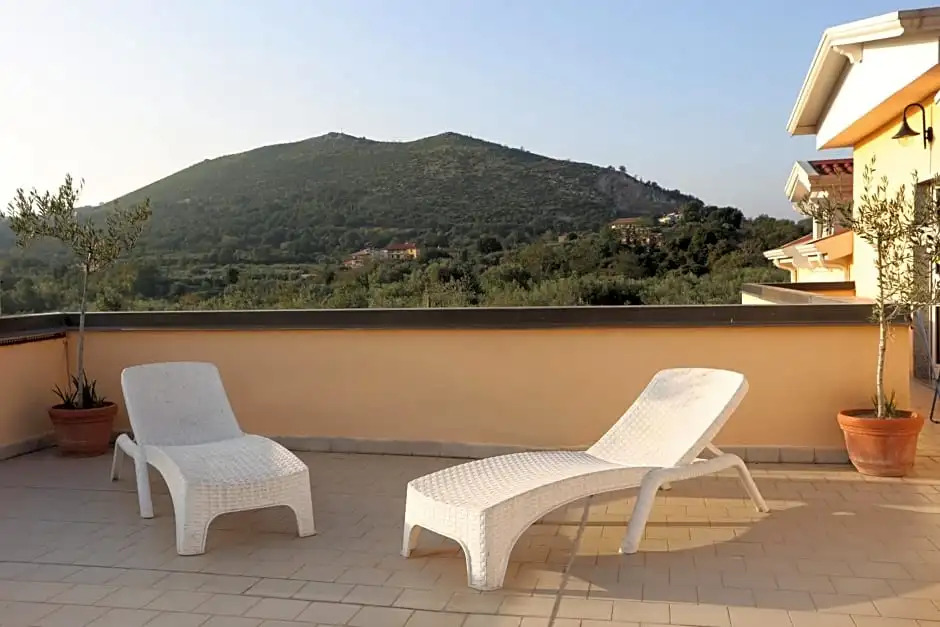 B&B Oliveto
