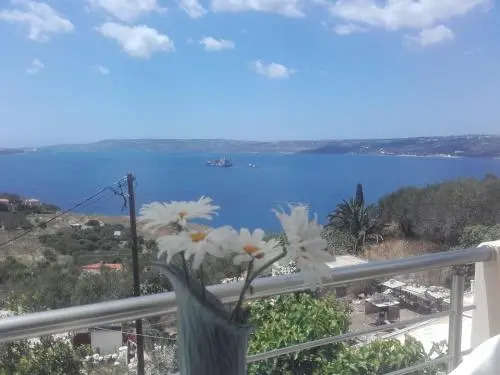Olympic View Guesthouse