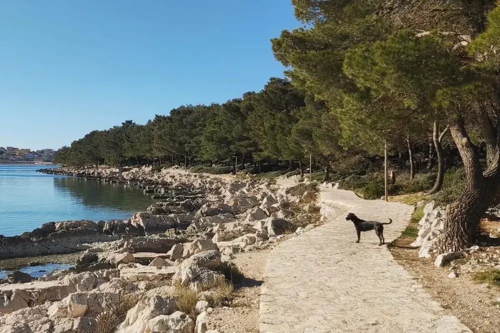 Stunning 2-bed House in Jezera With Sea Views