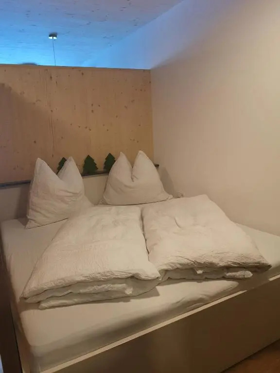 Apartment Almwiesen Mellau