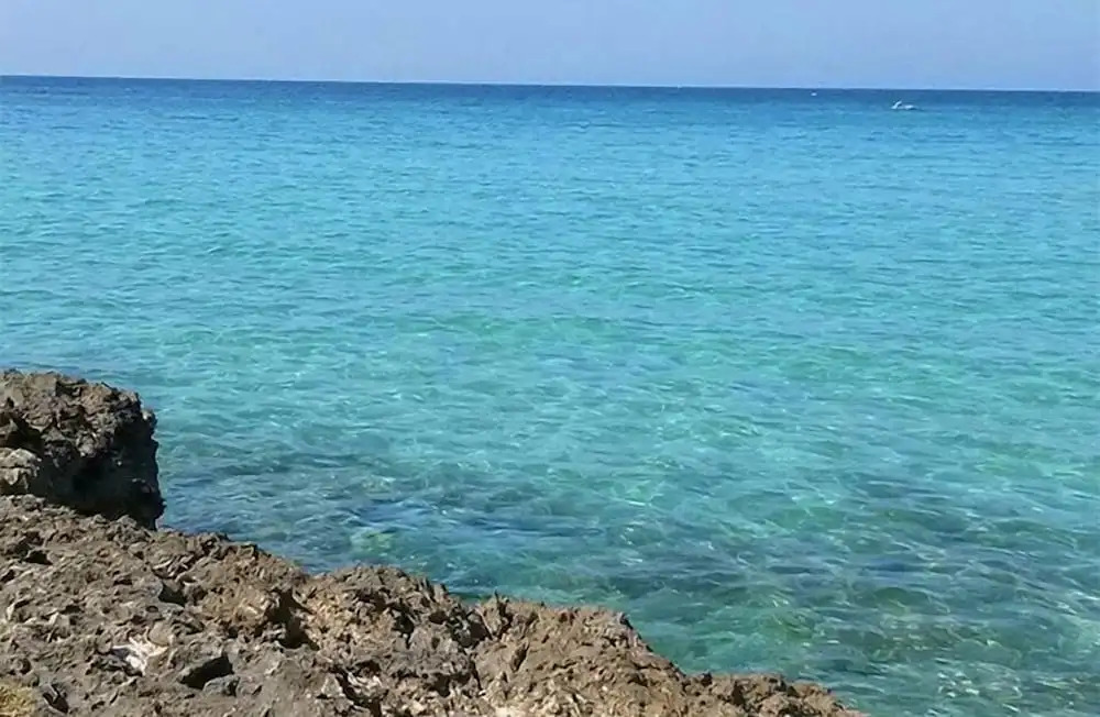 Villa A DUE PASSI DAL MARE
