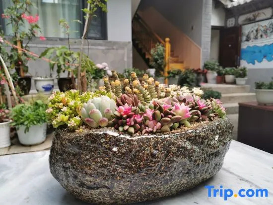 Slow Life· yuesheng garden Jing di mei su