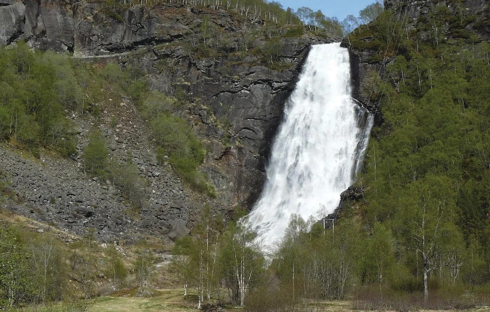 Petterbua
