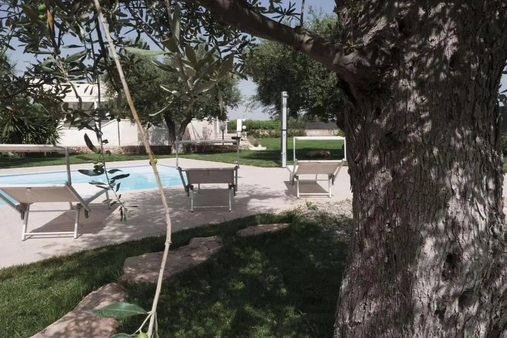 Rosmat's house