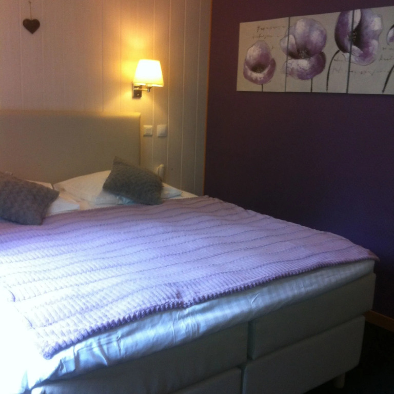 Hotel SPA Au Cheval Blanc