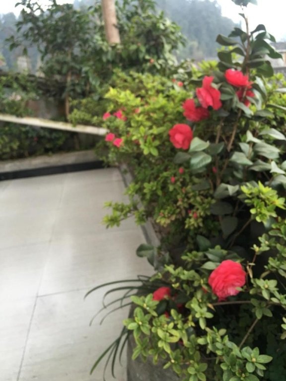 Ya'an Laojingfang Hostel