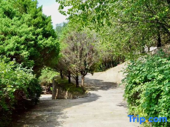 Yan'an Heritage Cave Hotel
