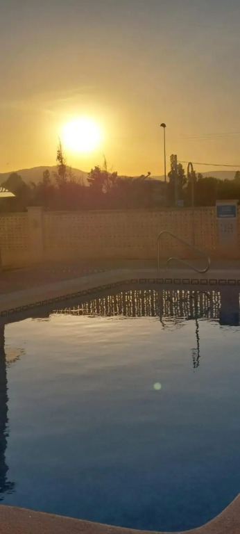AmaNacer Oliva