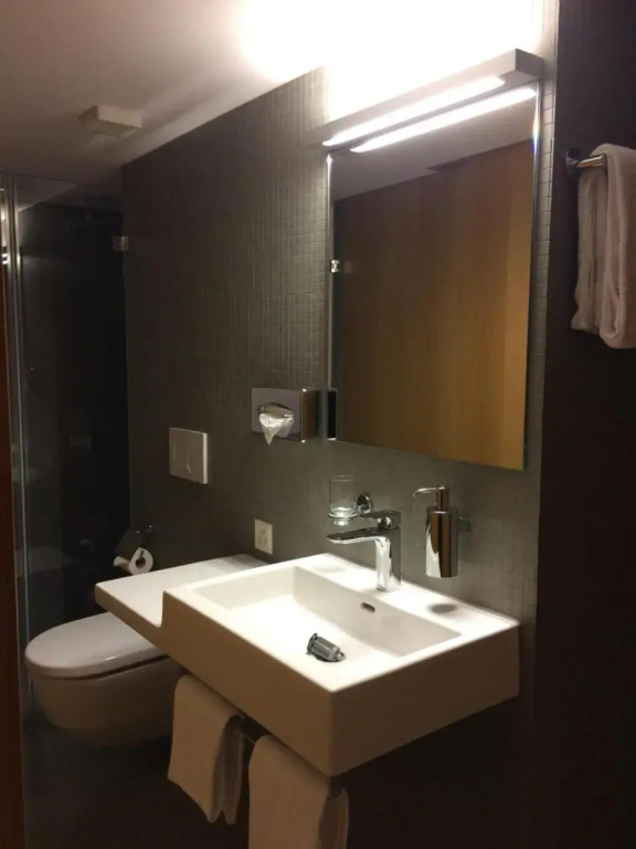 Hotel Hecht Am Rhein