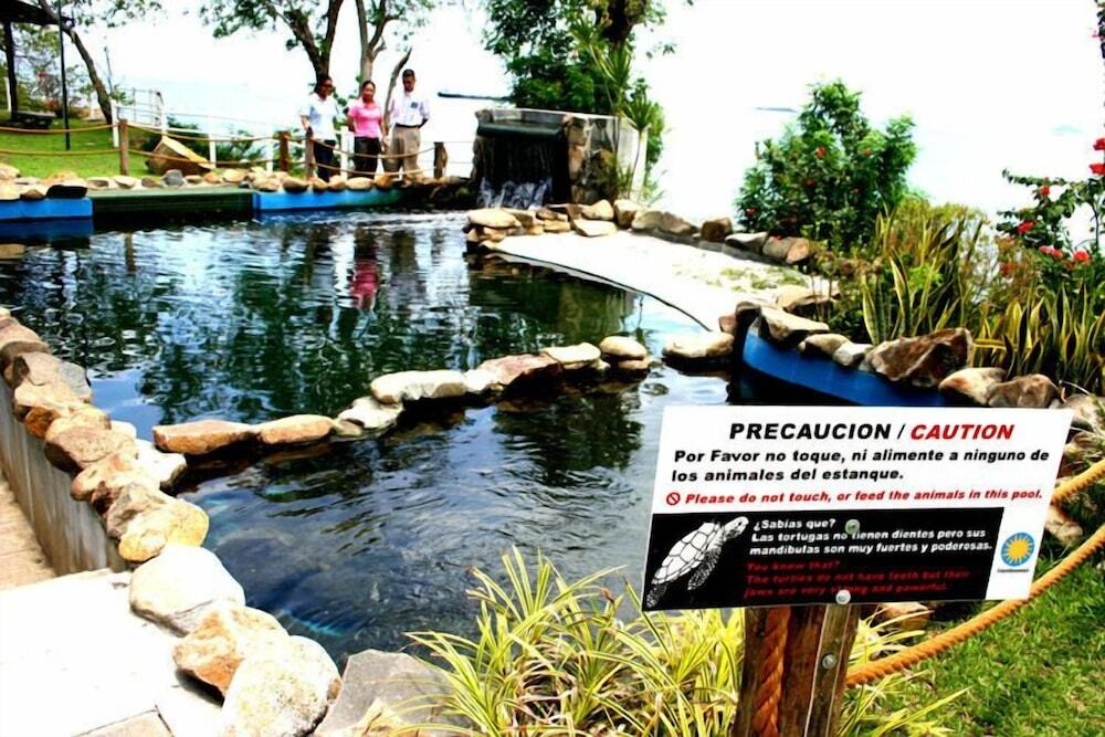 Tourist Center Of  Tours Of Panamá