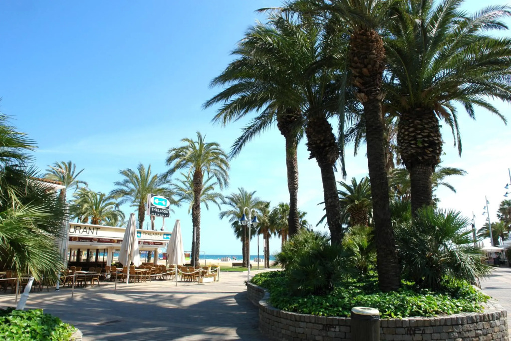 House in front of the beach with sea view