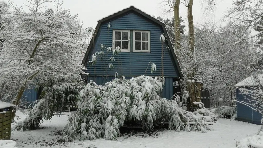 Blaugemacht-Worpswede