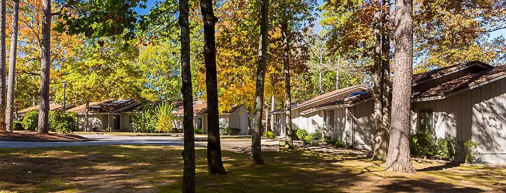 Festiva Los Lagos