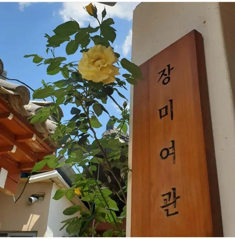 Rose Guesthouse D